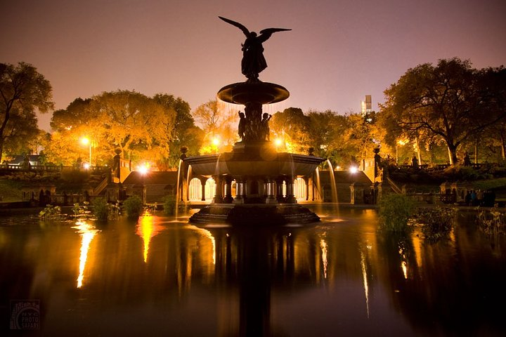 Central Park Night Time Photo Tour
